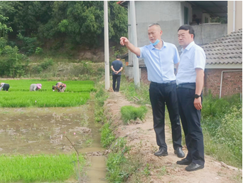 “三抓三促”進行時 | 強化落實解難題 激活企業(yè)促發(fā)展——公司董事長劉興斌一行赴武漢敦煌種業(yè)有限公司進行調研
